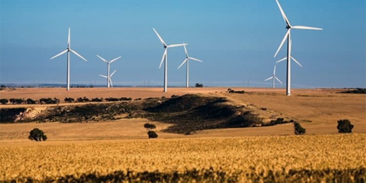 Iberdrola registra máximos históricos en la generación de energía renovable