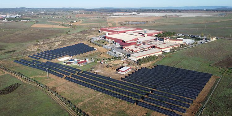 Alterna Energ A Ampliar La Planta Fotovoltaica De Mafresa