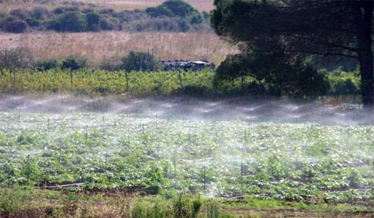 Plan de ayudas para explotaciones agropecuarias