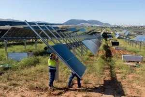 paneles solares