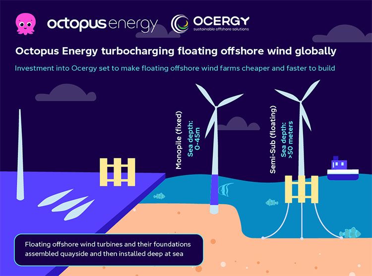 Infografía de Octopus y Ocergy.