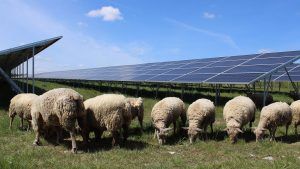 BayWa convierte antiguos terrenos militares en Francia en un centro de energía solar de 136 MW